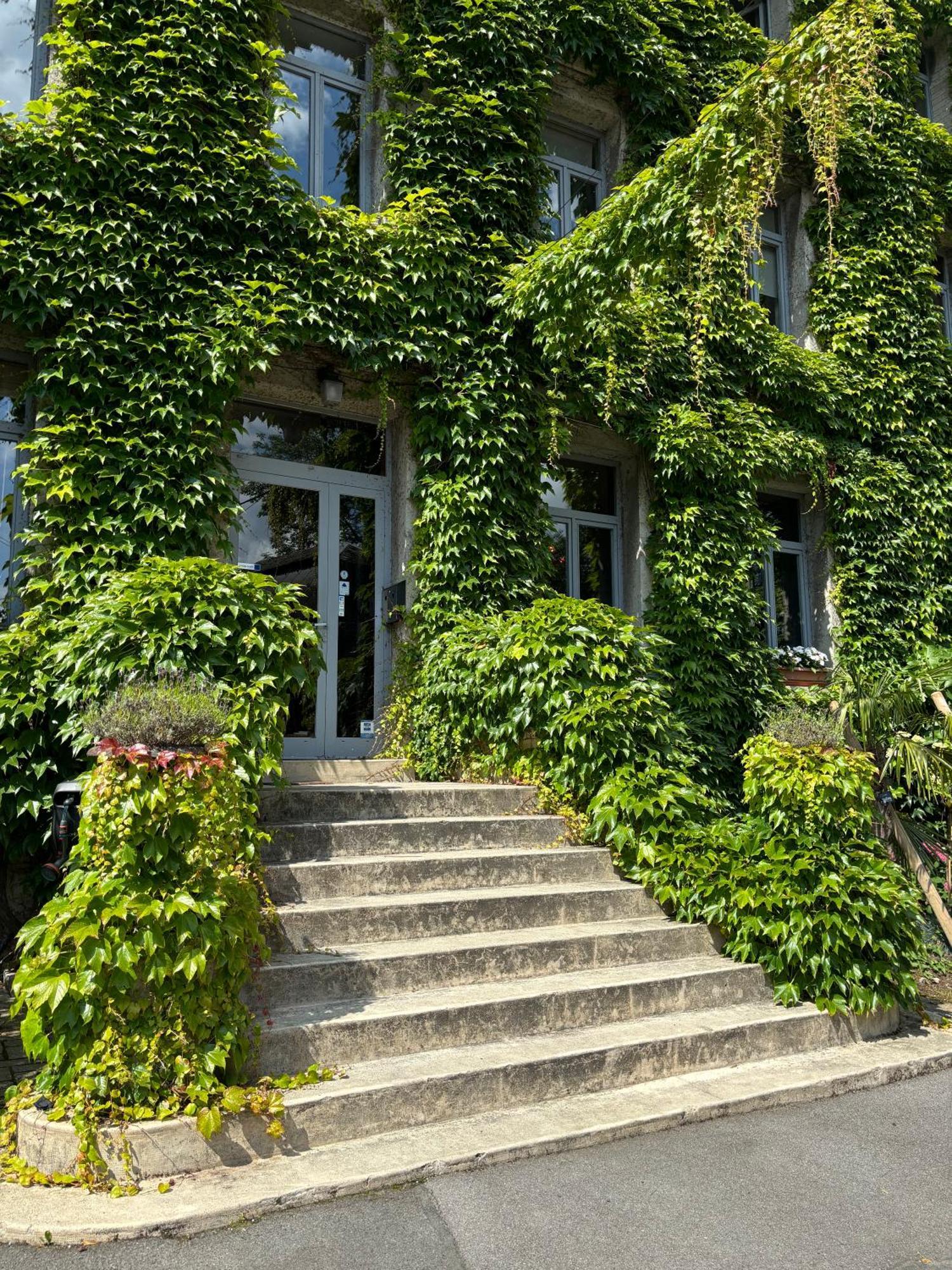 Logis Hotel-Restaurant - Le Moulin D'Artres Экстерьер фото